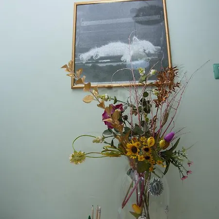 Bed & Breakfast Alma