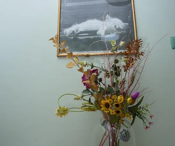 住宿加早餐酒店 Alma